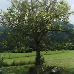 Hochwipfel Mit Self-check-in בית נופש