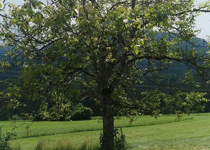 Hochwipfel Mit Self-check-in Holiday home